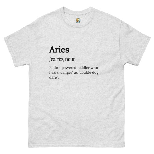 unisex-classic-tee-ash-front-68af83dd0cede.jpg Aries Definition Tee
