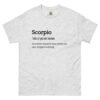 unisex-classic-tee-ash-front-68afa2ed6f892.jpg Scorpio Definition tee