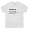 unisex-classic-tee-ash-front-68afa496111e2.jpg Aquarius Definition tee